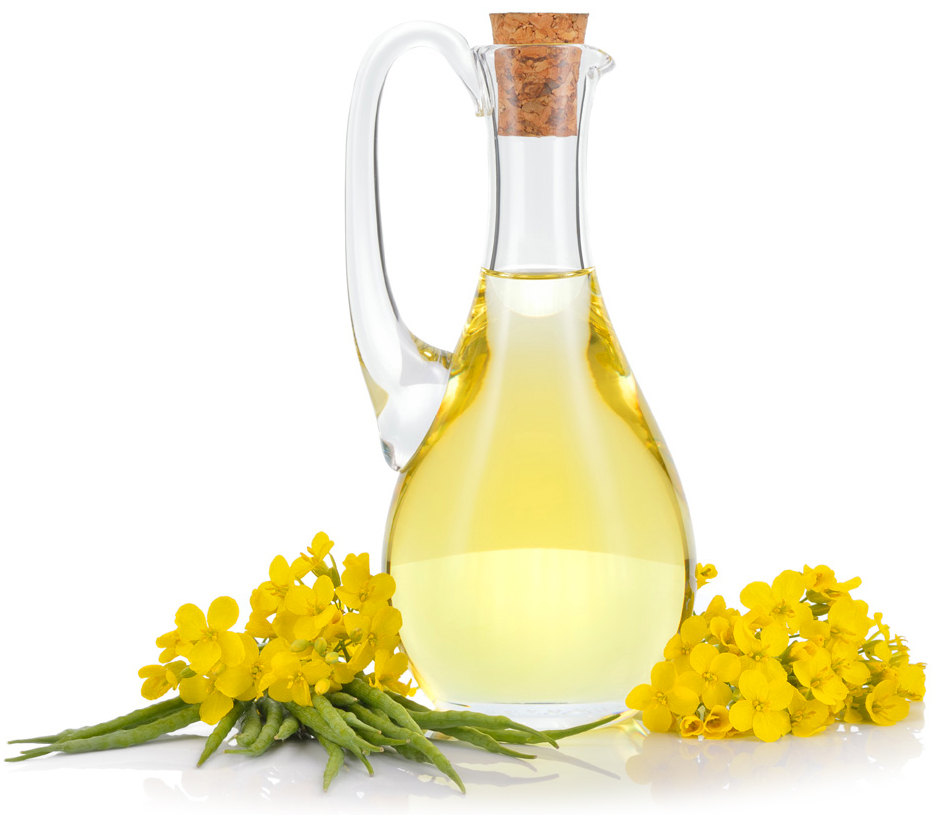 wholesale organic canola oil suppliers in united states